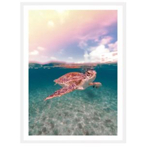 ABOVE AND BELOW GLASS ARTWORK WITH WHITE FRAME - 812 X 1480