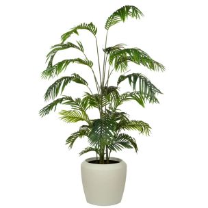 ARECA PALM TREE IN VIENNA POT 200H