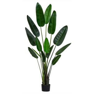 GIANT BIRD OF PARADISE PLANT 300CM