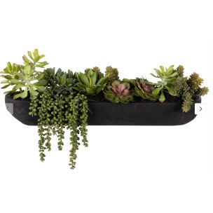 SUCCULENT MIX IN BLACK DANSK POT