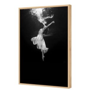 BALLET SUBMERSED III FRAMED CANVAS ARTWORK 118 X 80