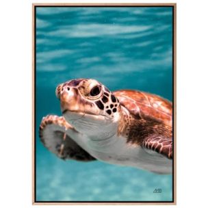 CLOSE UP FRAMED CANVAS ARTWORK - 1295X915