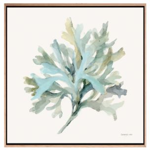 COASTAL BLISS I CANVAS ARTWORK WITH NATURAL FRAME - 700 X 700