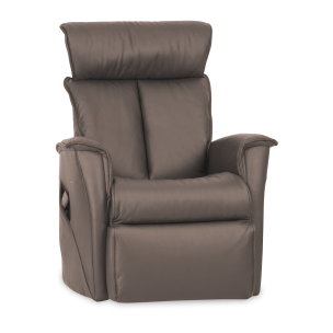 IMG DUKE LARGE LIFT CHAIR - TREND EARTH LEATHER