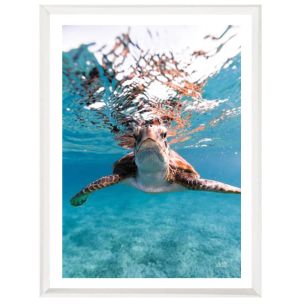HELLO SEA TURTLE  GLASS WHITE FRAMED ARTWORK - 812 X 1480