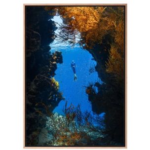 DEEP DIVE C CANVAS ARTWORK WITH NATURAL FRAME - 915 X 1295