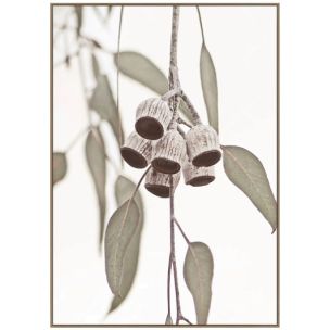 GUMNUT B CANVAS ARTWORK WITH NATURAL FRAME - 800 X 1200