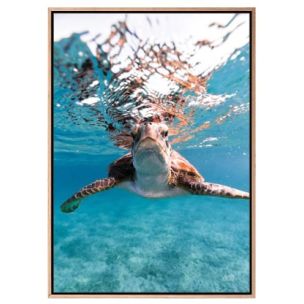HELLO SEA TURTLE CANVAS ARTWORK WITH NATURAL FRAME - 1000X700