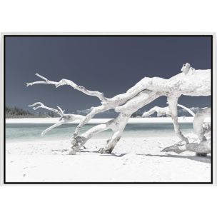 WHITE DRIFTWOOD ON BEACH 2 WITH FRAME - 1000 X 1400