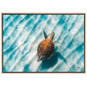 SANDBAR SEA TURTLE II CANVAS ARTWORK WITH NATURAL FRAME - 915X1295