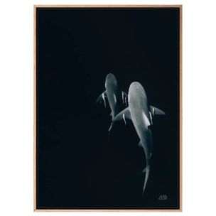 ABOVE THE ABYSS FRAMED CANVAS ARTWORK