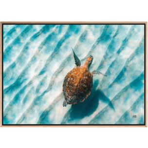 SANDBAR SEA TURTLE II CUSTOM ARTWORK