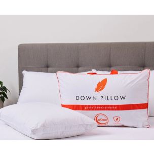 GOOSEDOWN SURROUND PILLOW