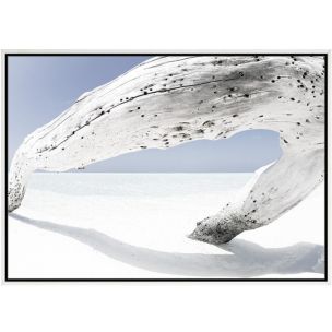 WHITE DRIFTWOOD ON BEACH FRAMED CANVAS ARTWORK - 1230 X 1730